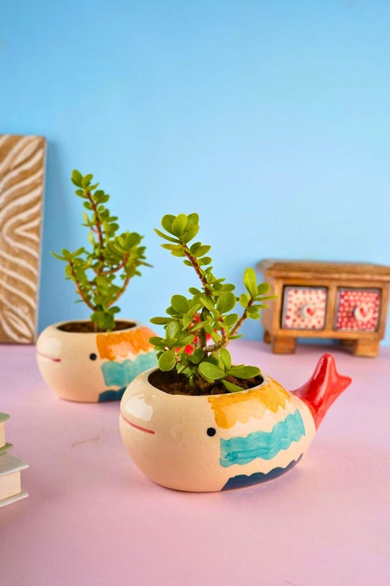 nemo fish planter handmade in india 