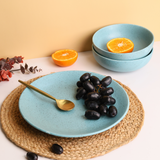 teal dinner plate & curry bowl made  by ceramic 