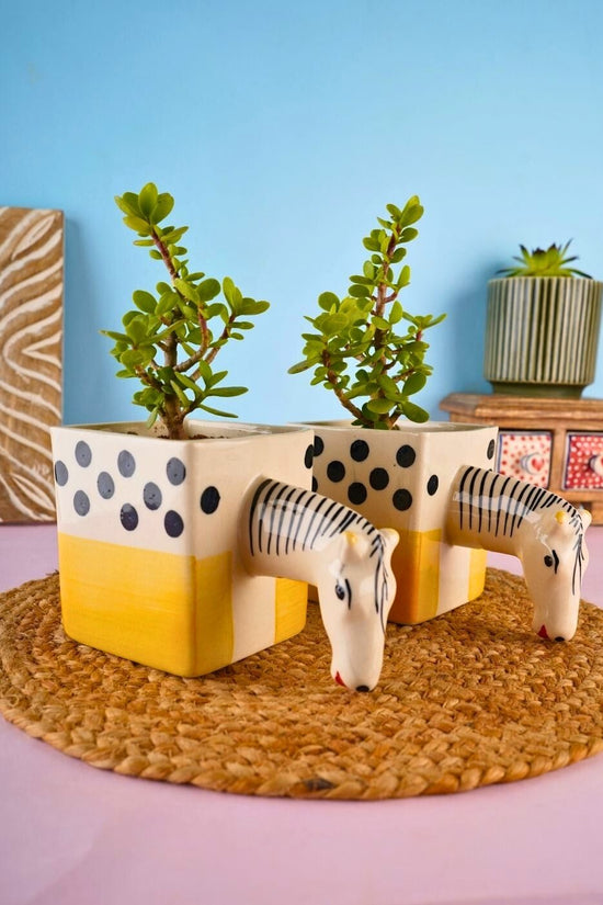 quirky horse planter made by ceramic 