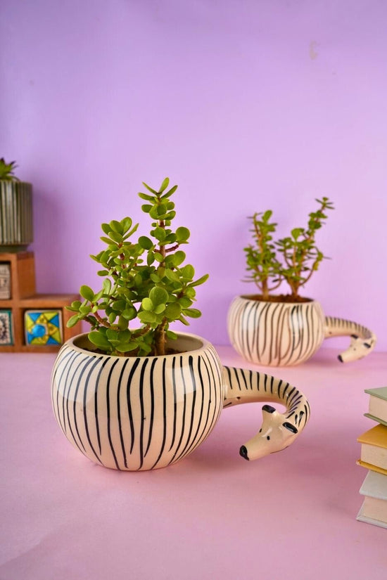 zebra planter with zebra design