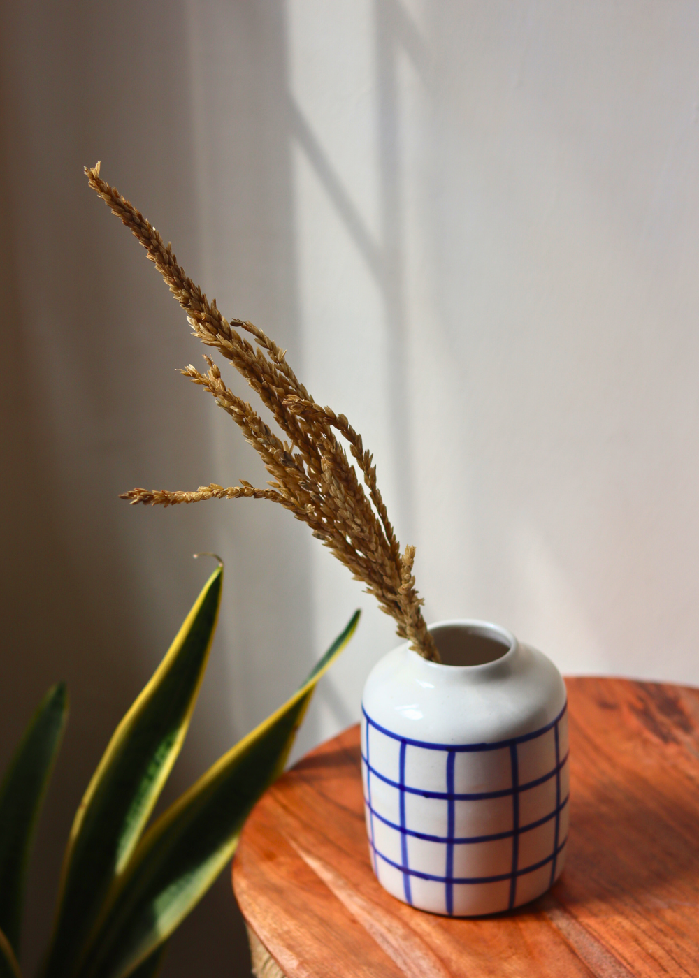 Checkered blue vase with dried bunch