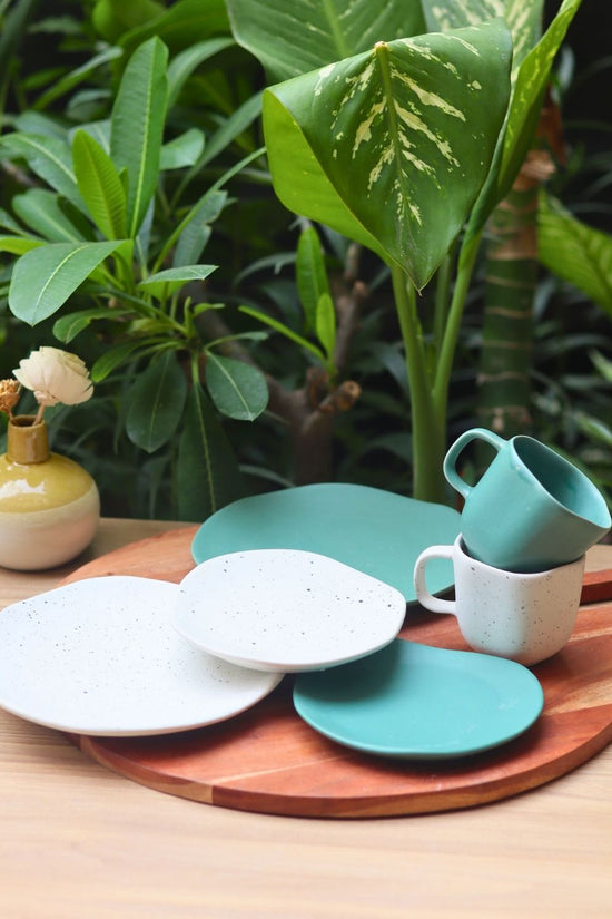 set of 6 misfit mug & plates combo