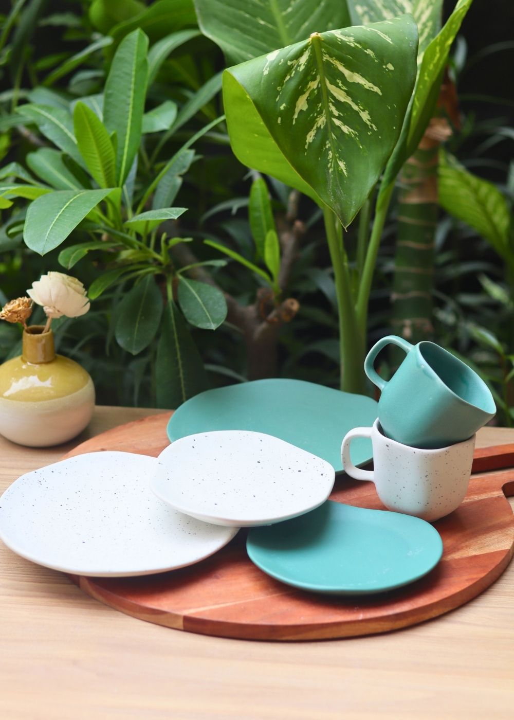 set of 6 misfit mug & plates combo