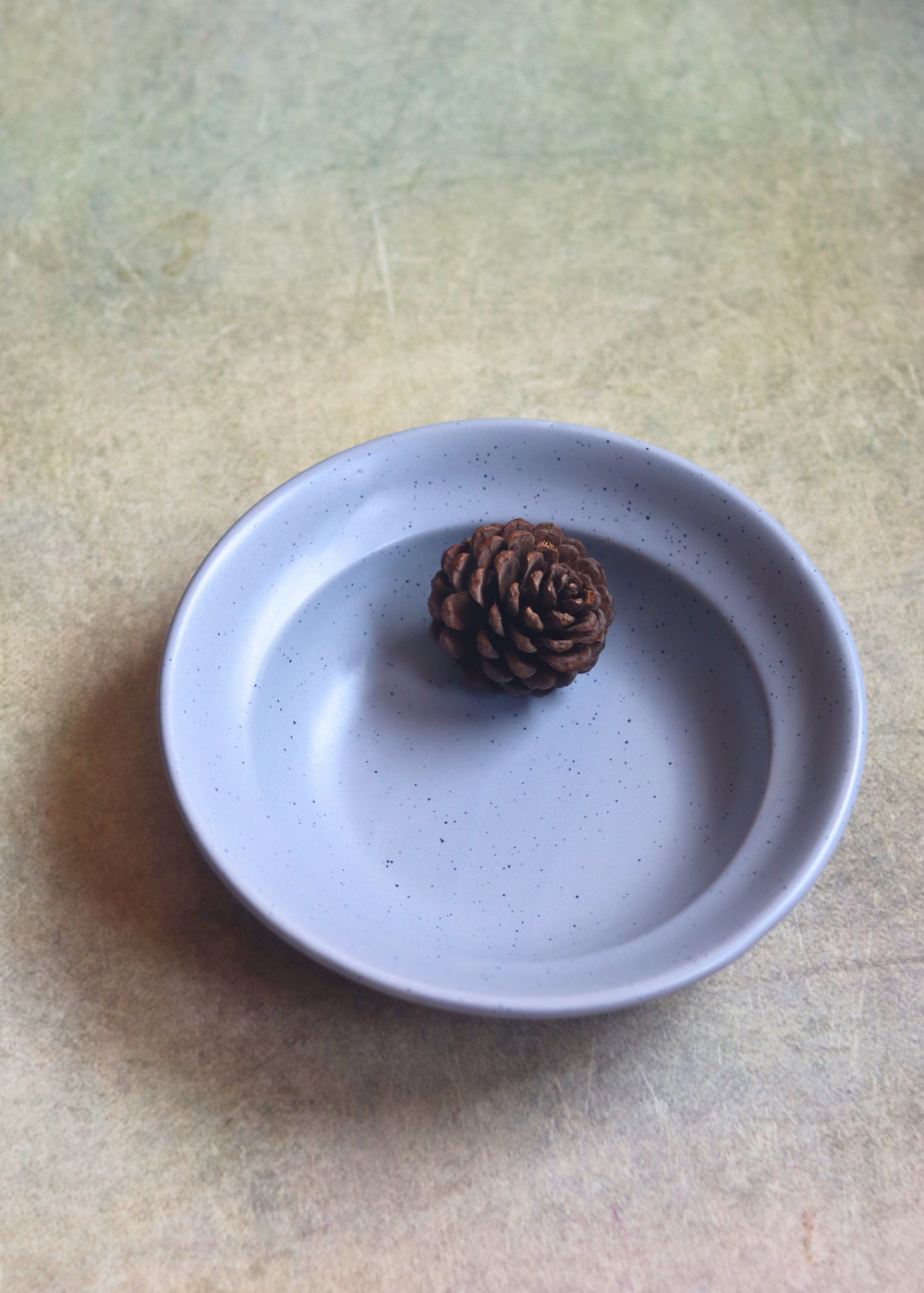Handmade pasta plate 