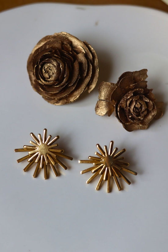 Hypoallergic Two Way Spark Earrings