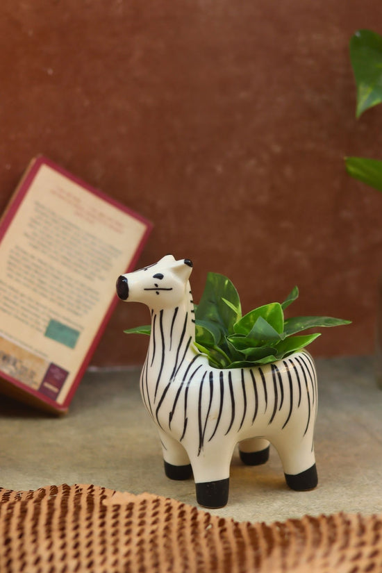 Zebra Planter handmade in India