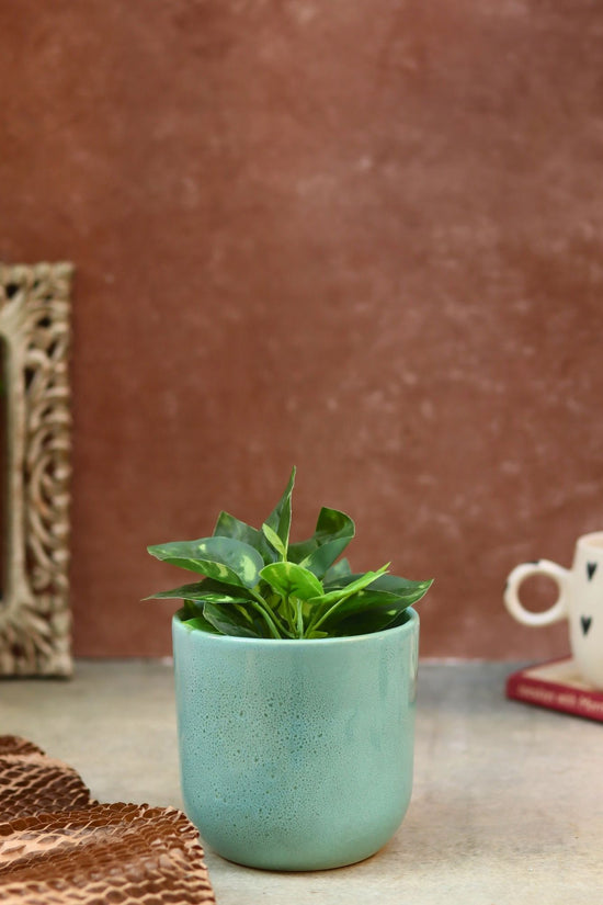 Mint Planter made by ceramic