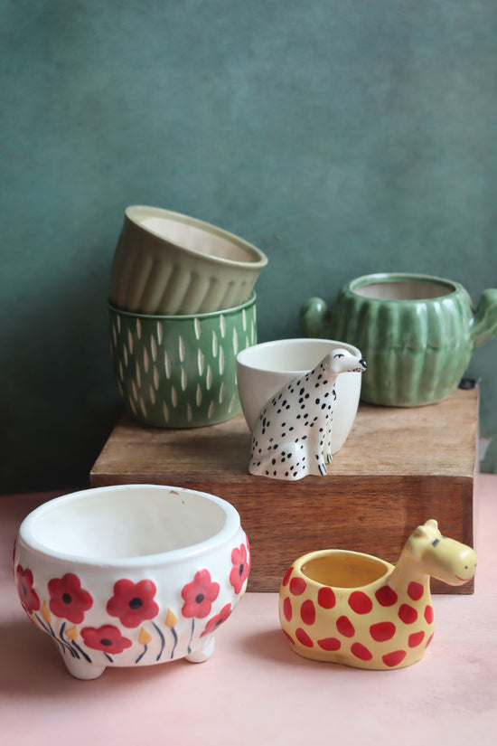 Set of 6 Aesthetic Planter (for the price of 5) with premium quality material