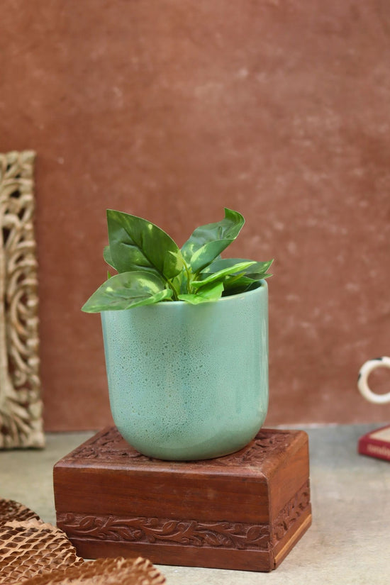 Mint Planter with premium quality material