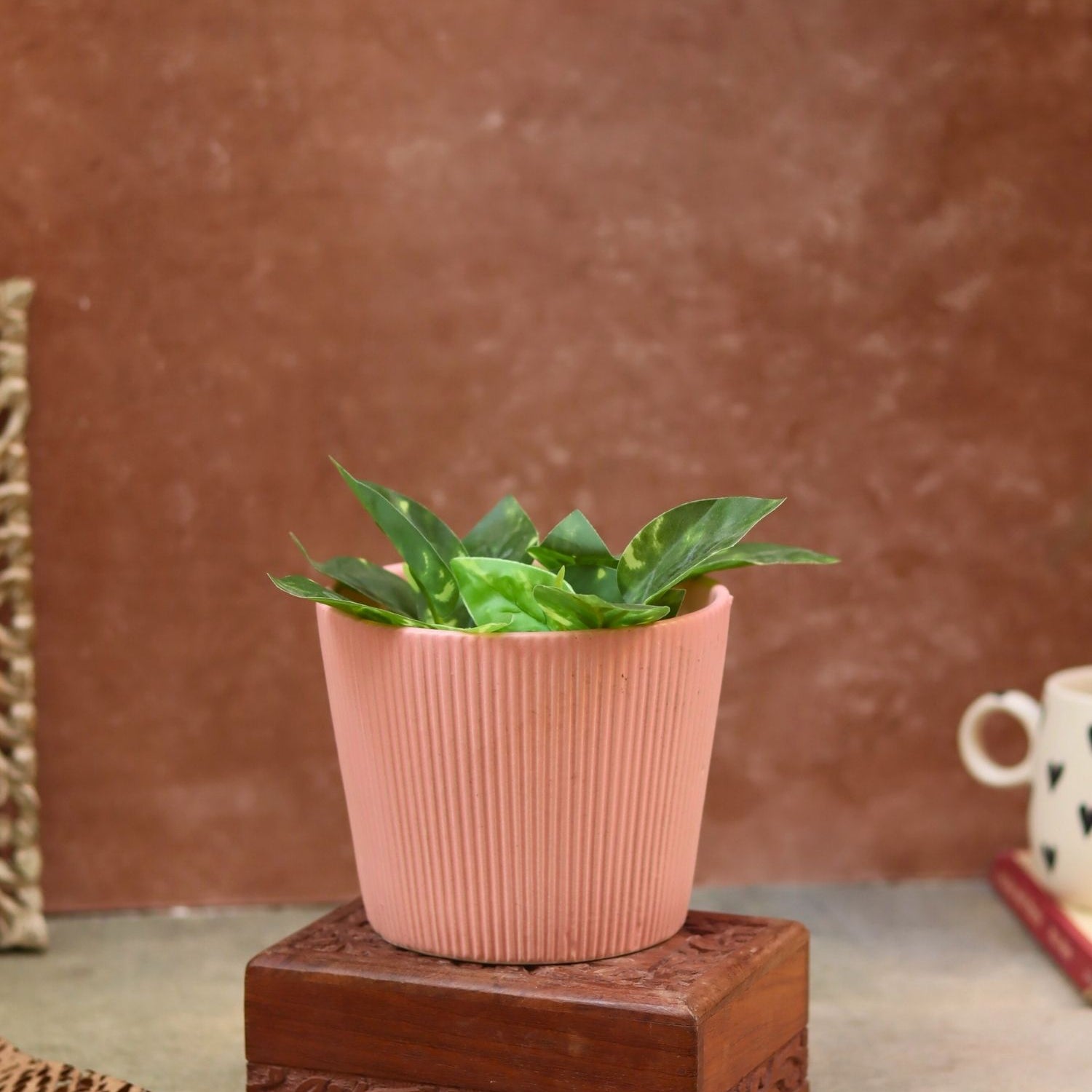 handmade Rosy Pink Planter