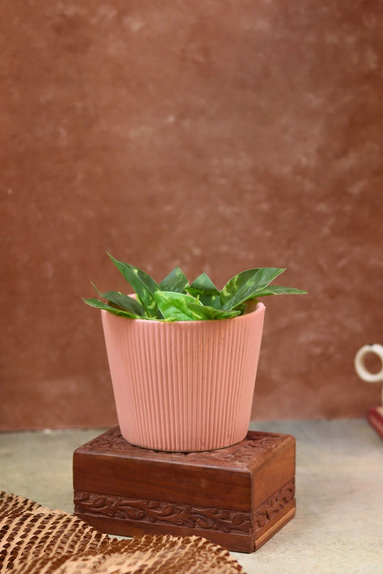 handmade Rosy Pink Planter