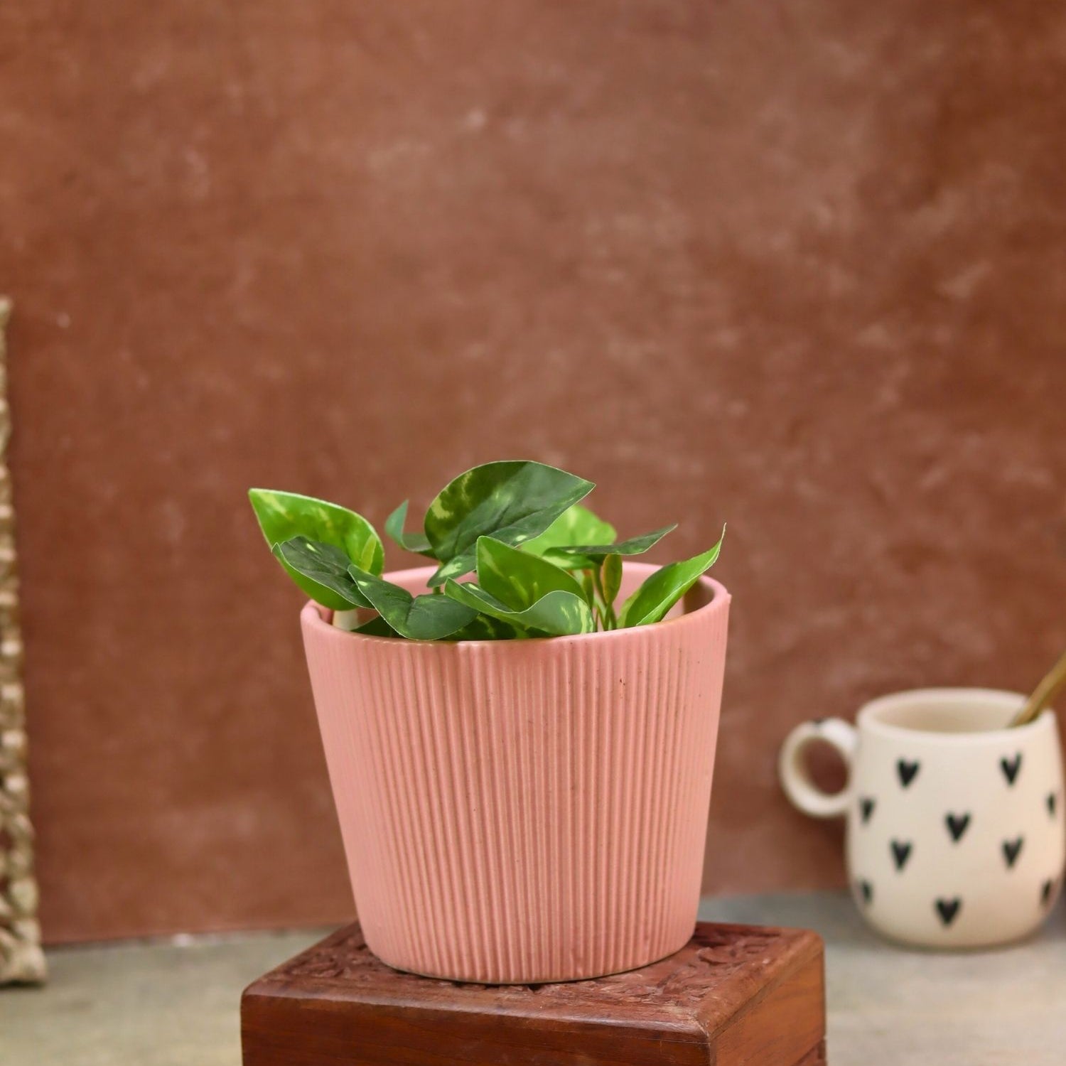 Rosy Pink Planter made by ceramic