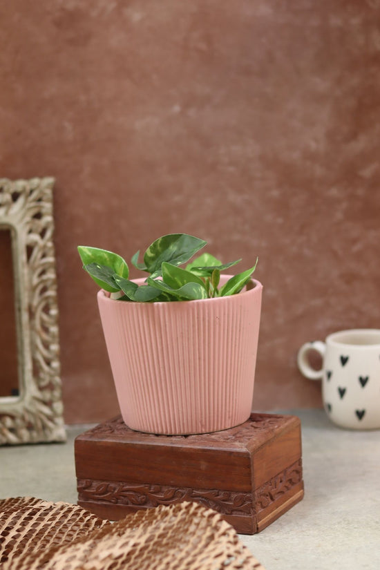 Rosy Pink Planter has a drainage hole