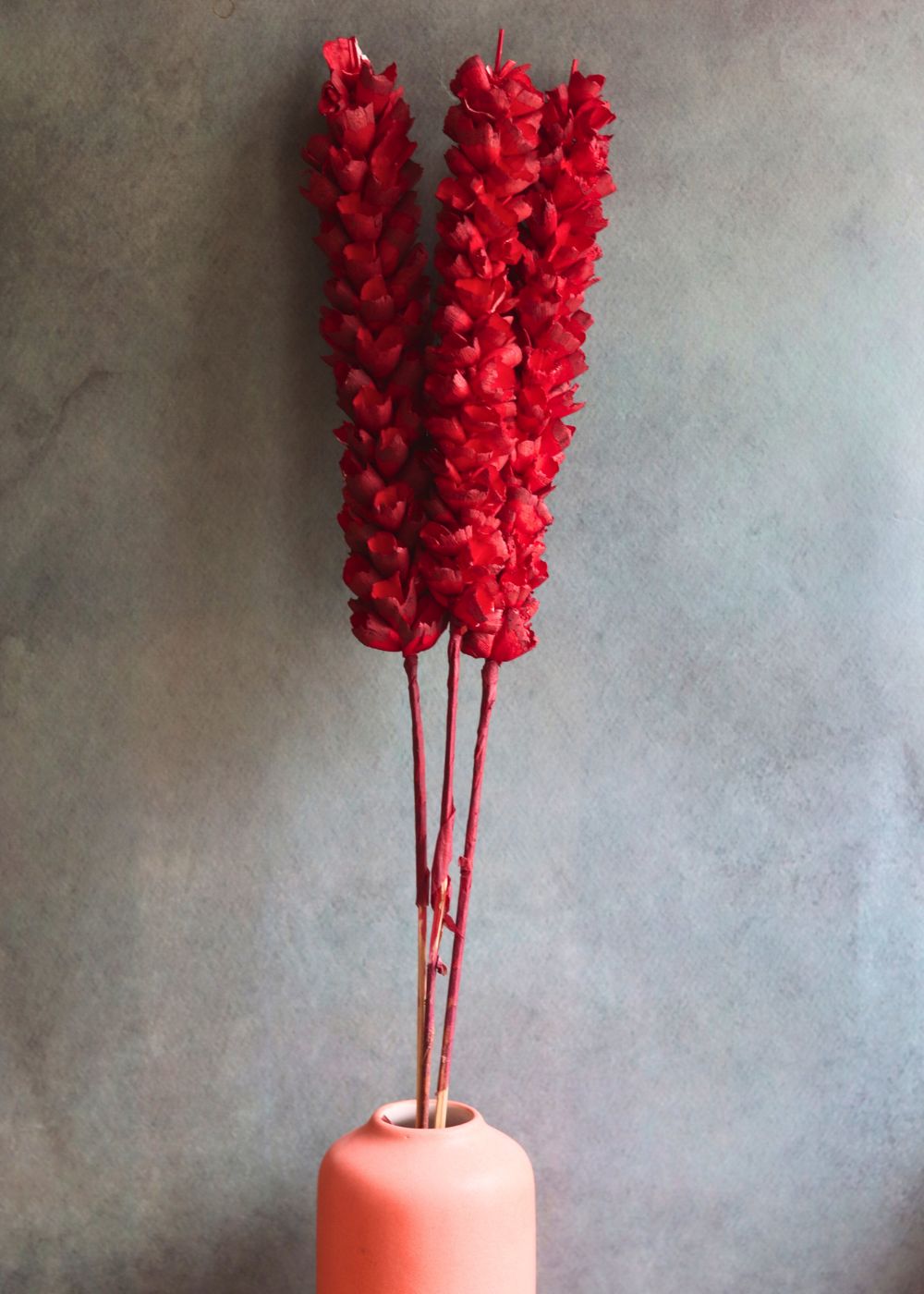 Dried Red Phalaris Flower Bunch