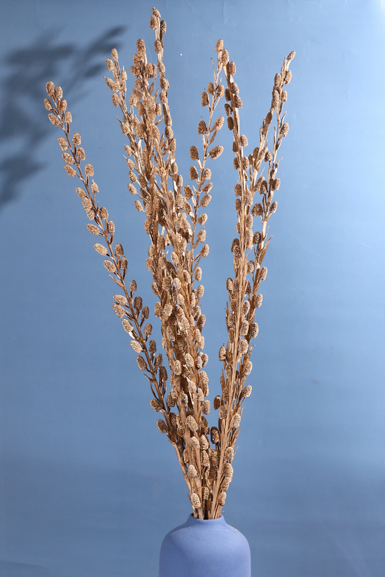Dried Golden Litchi Bouquet