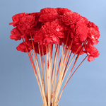 Dried red roses bunch 