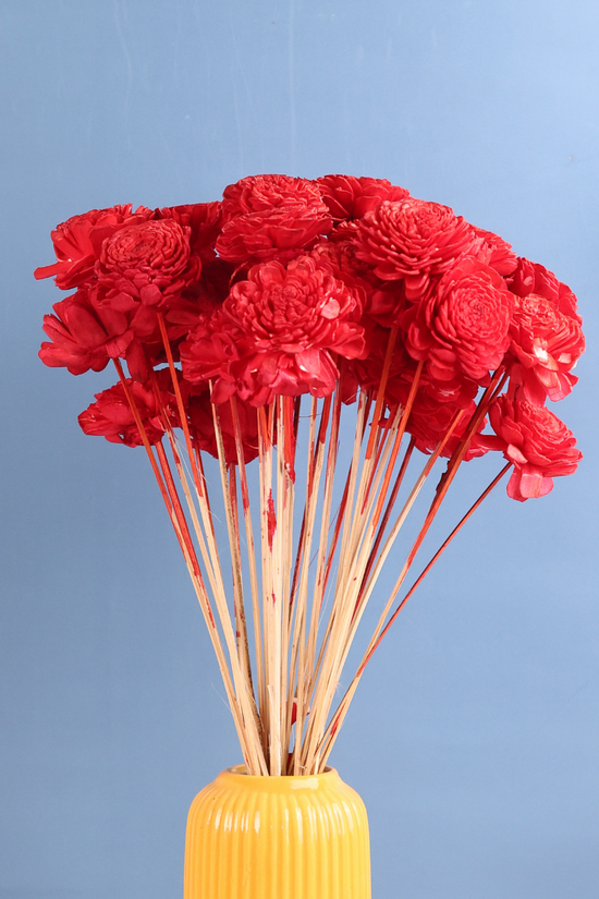 Dried red roses bunch 