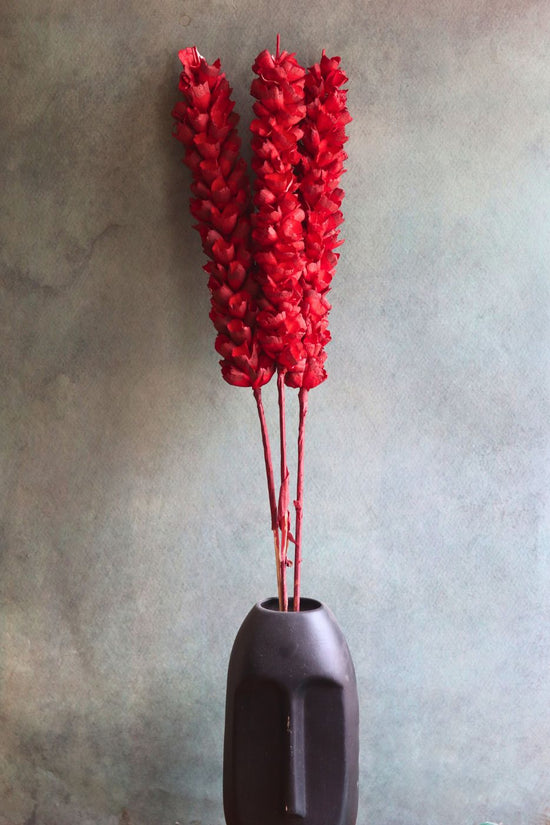 Dried Red Phalaris Flower Bunch