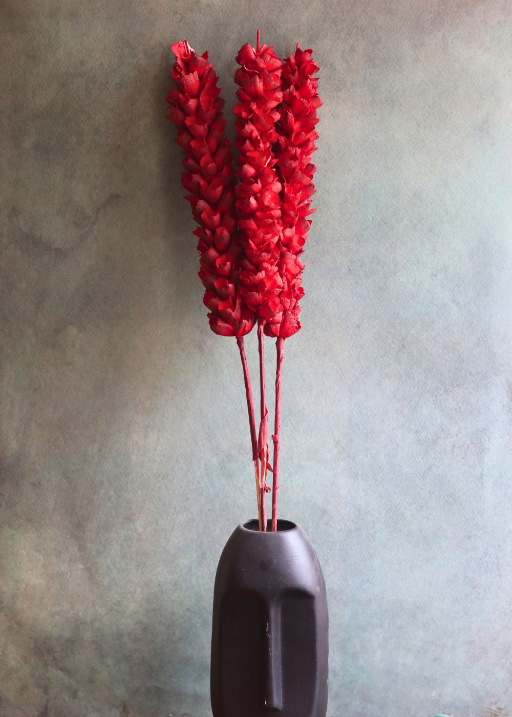 Dried Red Phalaris Flower Bunch