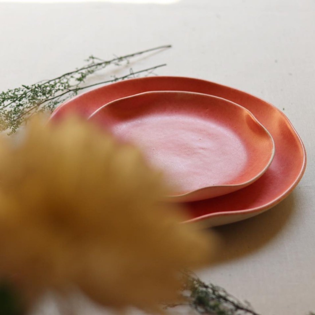 Combo of two ceramic pink peony dinner plates