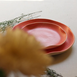 Combo of two ceramic pink peony dinner plates