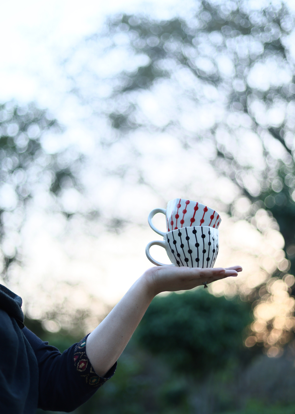 set of two mugs combo