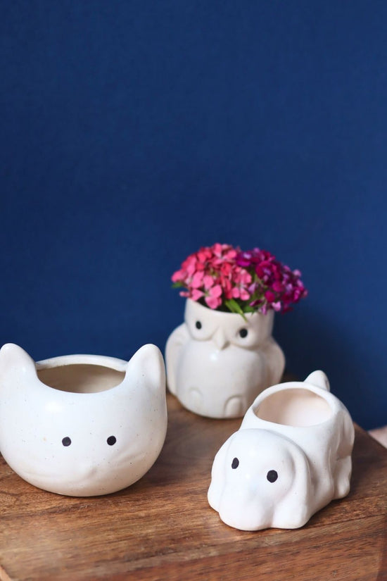 Handmade Set of 3 - Pearly Paws Planters