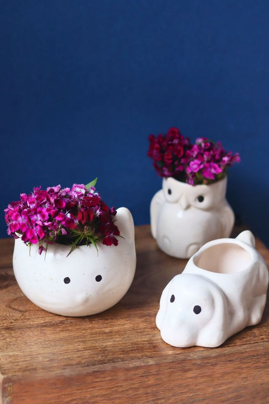 Set of 3 - Pearly Paws Planters made by ceramic