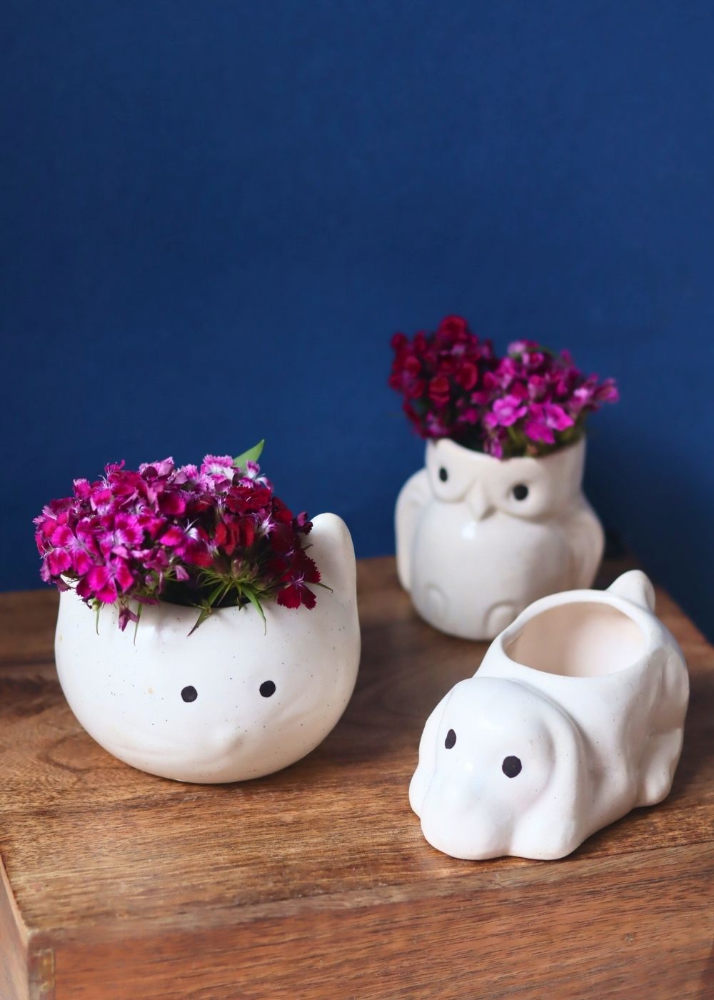 Set of 3 - Pearly Paws Planters made by ceramic