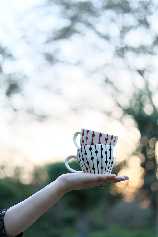 red & black dotted line mug combo