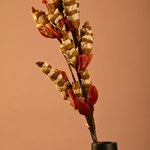 Brown chains dried flower bouquet