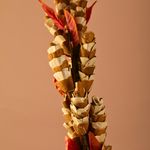 Dried flower bouquet brown chains
