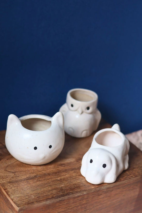 Set of 3 - Pearly Paws Planters with premium quality material