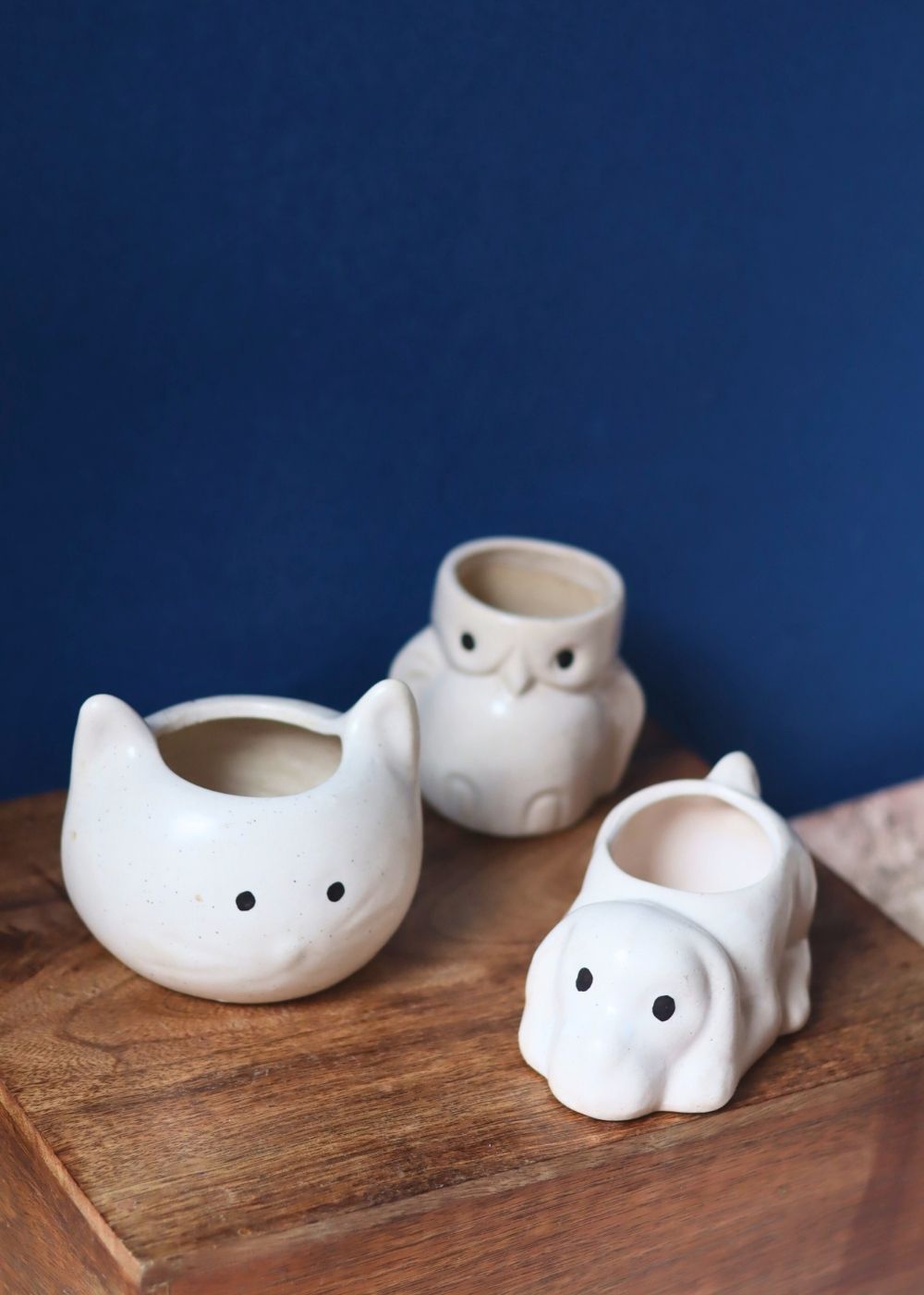 Set of 3 - Pearly Paws Planters with premium quality material