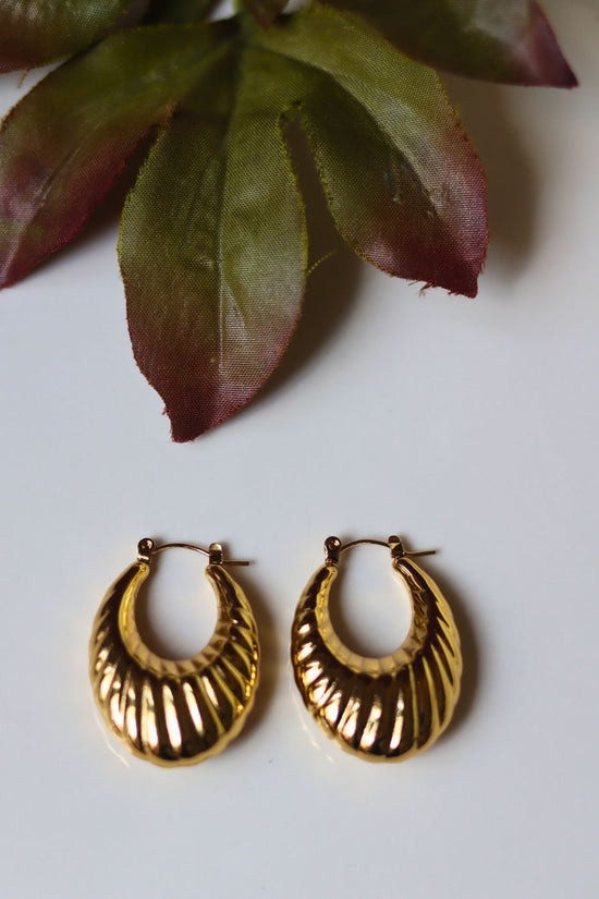 Hypoallergic Shell Drop Hoops