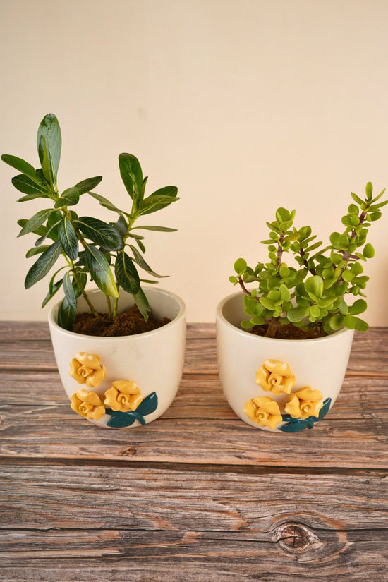 yellow flower planter made by ceramic 