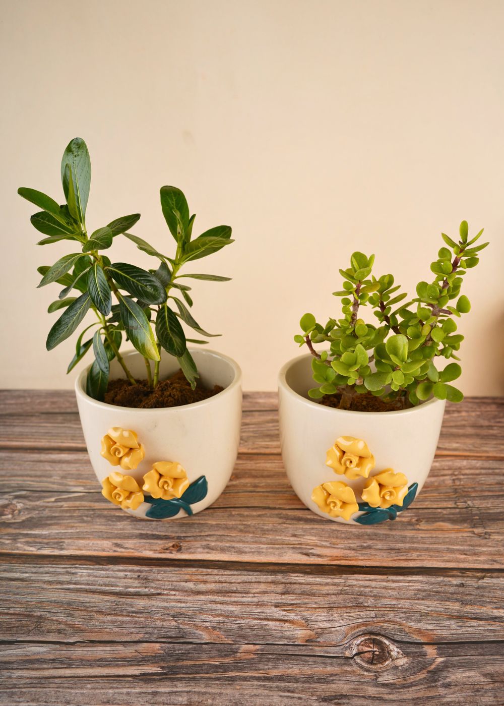 yellow flower planter made by ceramic 