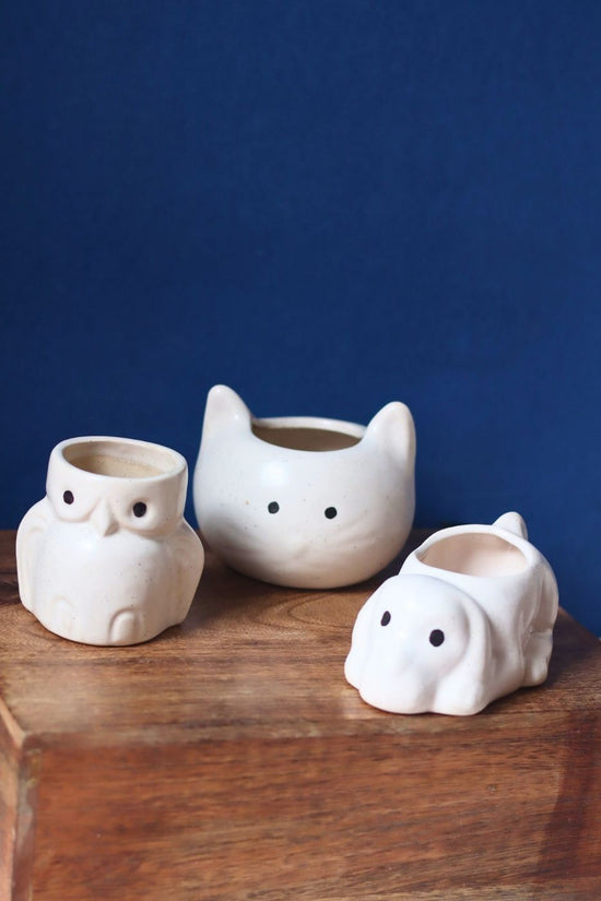 Set of 3 - Pearly Paws Planters handmade in india
