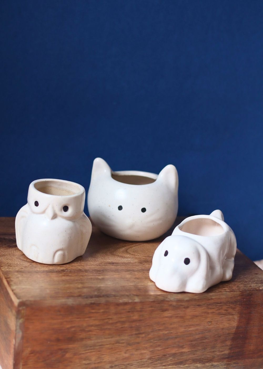 Set of 3 - Pearly Paws Planters handmade in india