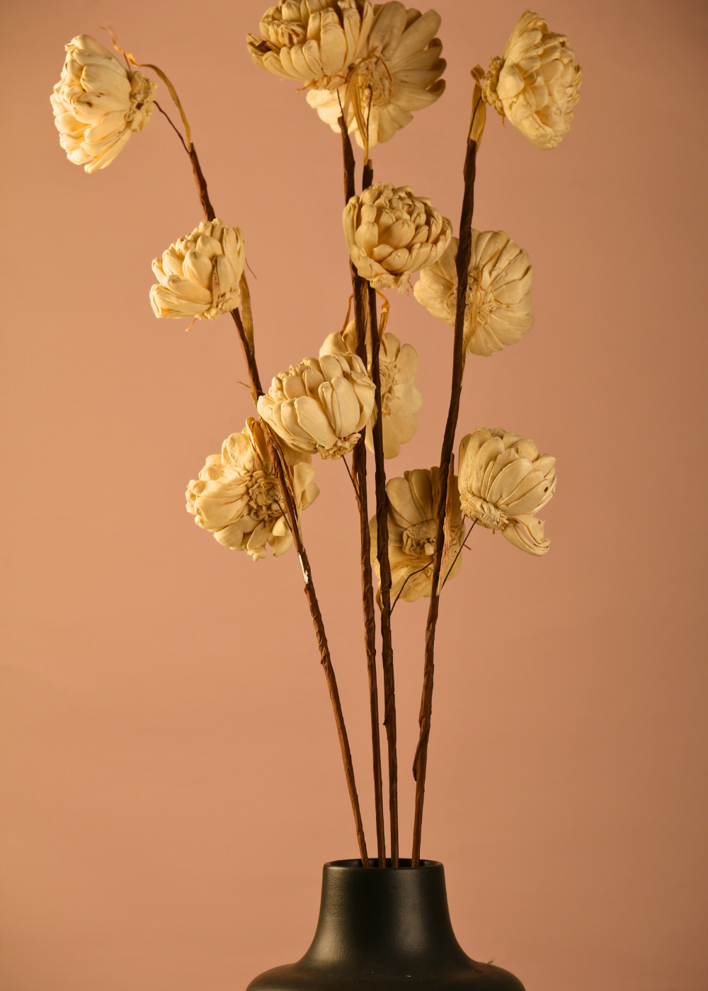 Dried cream dahlia bunch with black vase