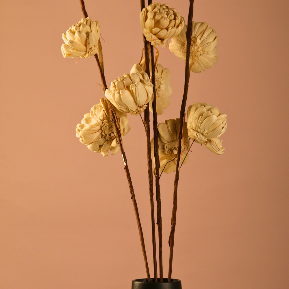 Dried flower bouquet with black vase