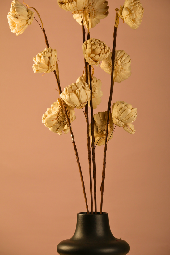 Dried flower bouquet with black vase