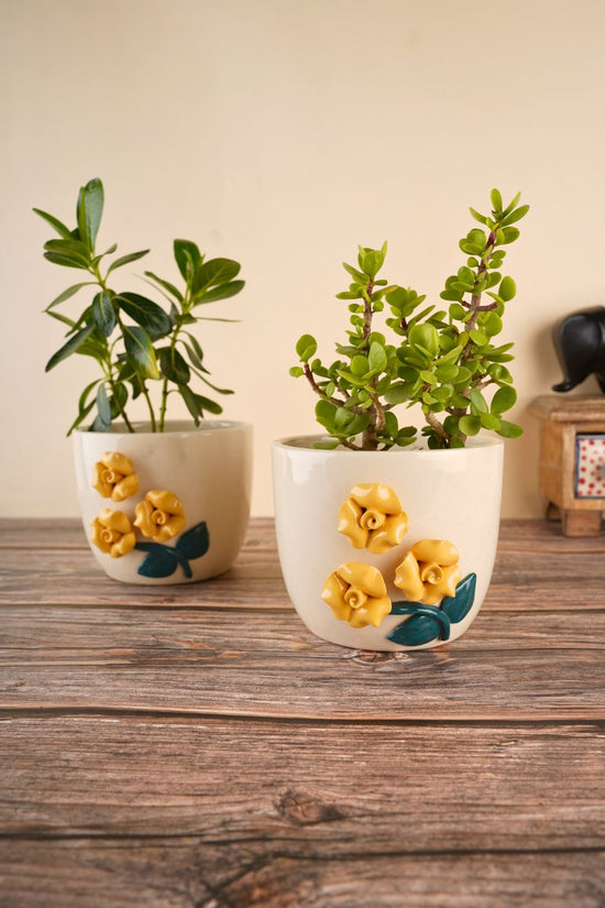 yellow flower planter for your beautiful plants