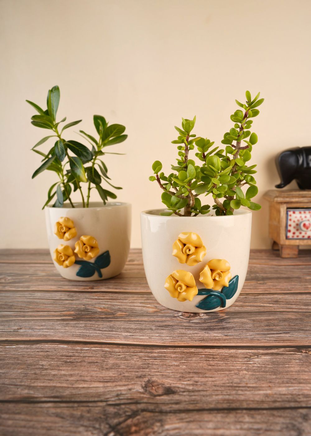 yellow flower planter for your beautiful plants