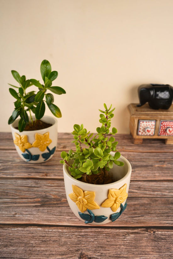 handmade Daisy bloom planter