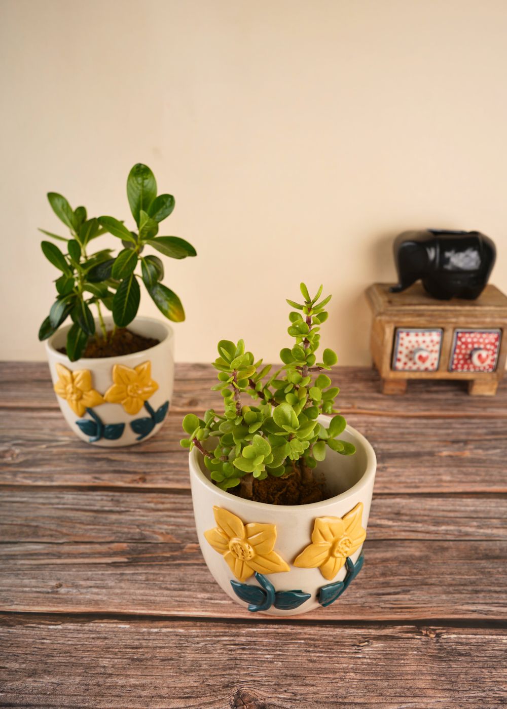 handmade Daisy bloom planter