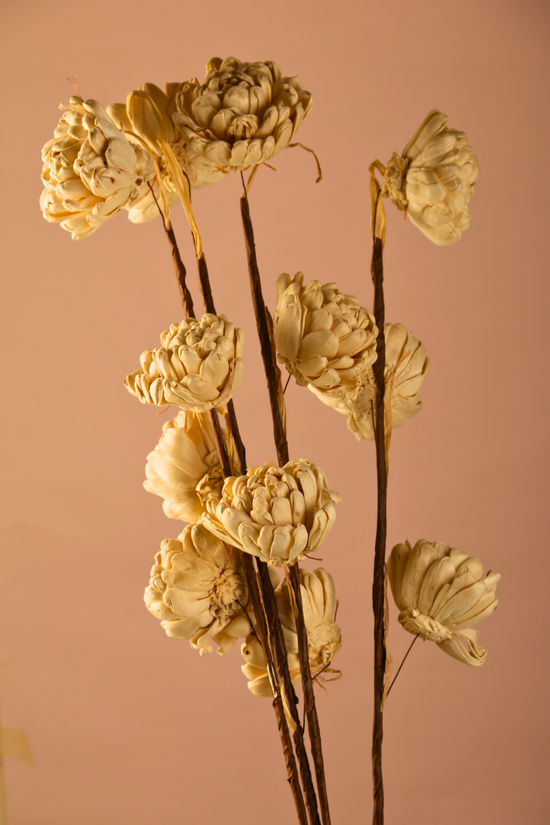 Dried cream dahlia bouquet