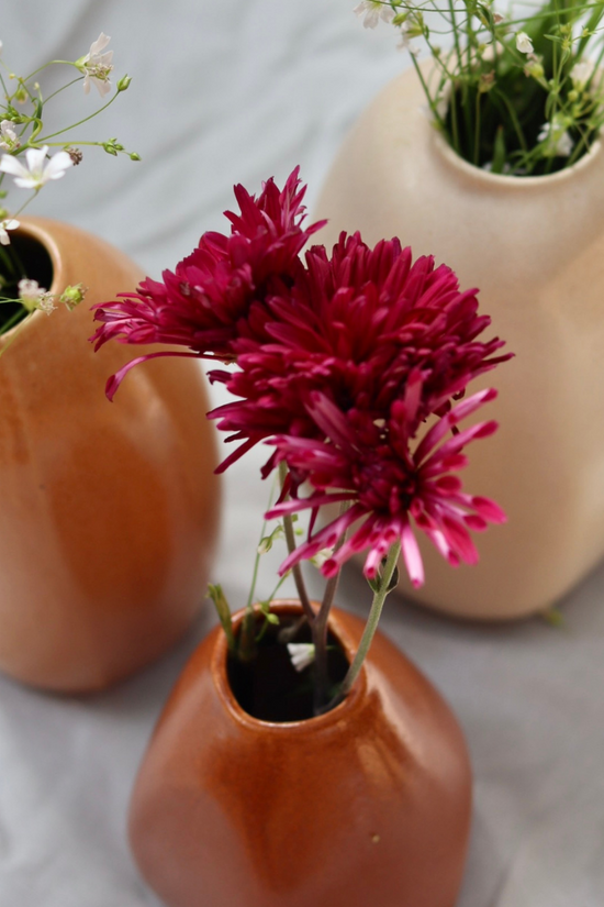 Ceramic flower pots with flowers