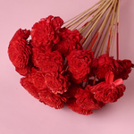 Dried red roses bouquet 