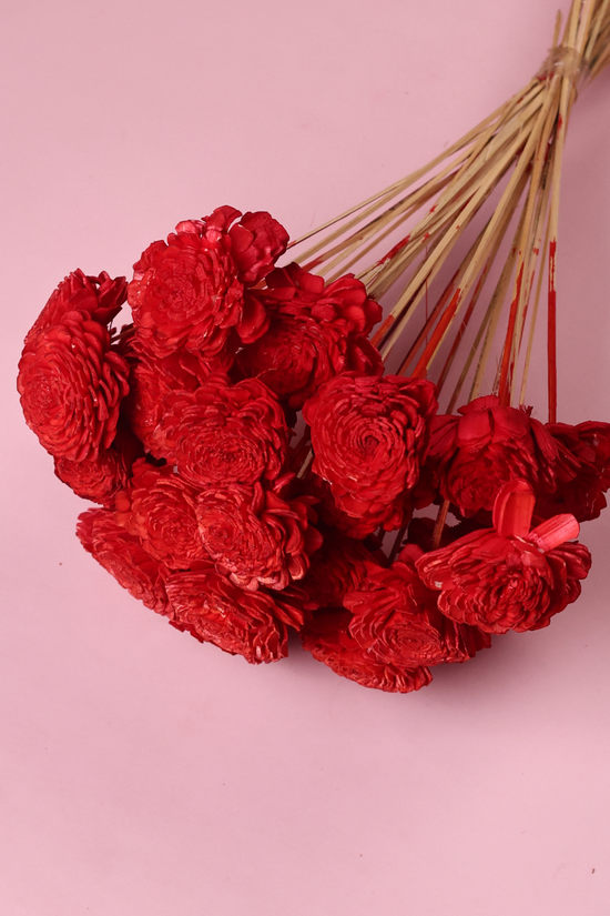 Dried red roses bouquet 